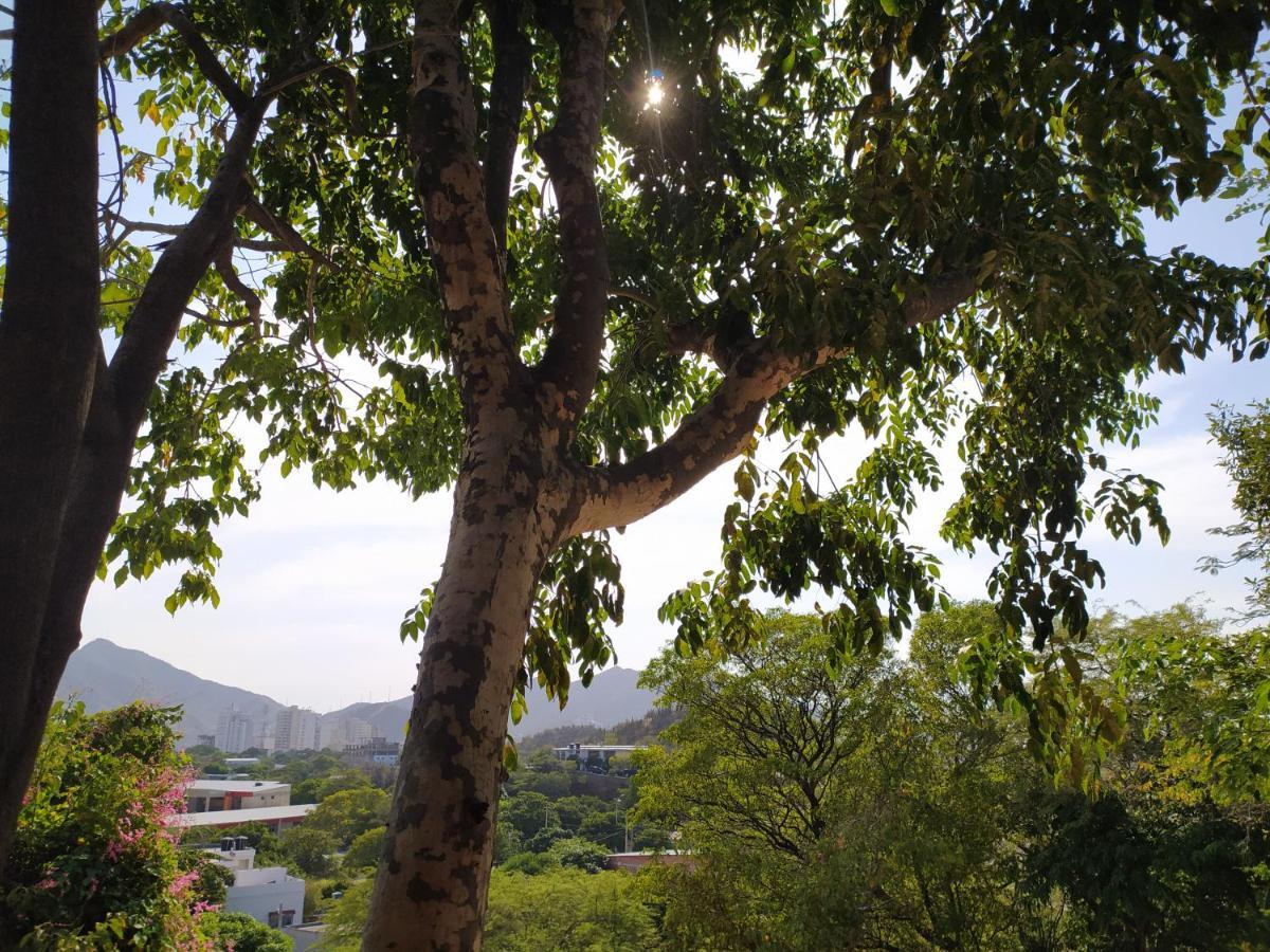 Jardin Etnobotanico Villa Ludovica Santa Marta  Exterior photo